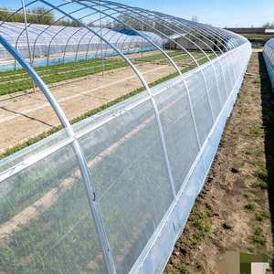 Copertura per Serra Monocampata 6x30m per Orticoltura, Serra a Tunnel Commerciale - Product Image 1
