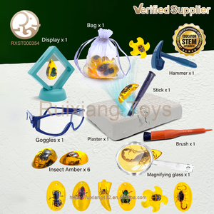 Approvisionnement <span class=keywords><strong>d</strong></span>'usine unisexe éducatif insecte ambre archéologie ensemble jouet amusant et STEM apprentissage en plastique emballé dans une <span class=keywords><strong>boîte</strong></span> pour les enfants - Product Image 2