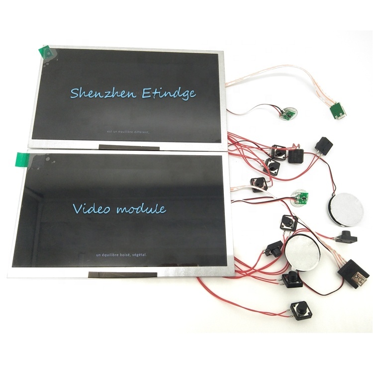 5 Inches HD Color Screen Video