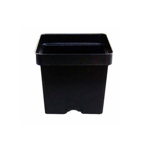 Tree Plant Accessories Bonsai Decoration Black Small Plastic Rectangle Flower Pot