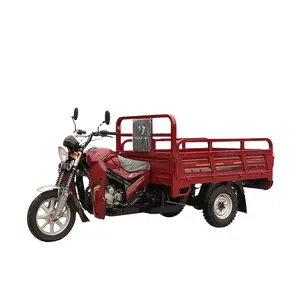 YOUNEV yeni stil 150cc Motor üç tekerlekli bisiklet hava soğutmalı Motor 12V kargo motorlu Trikes 3 tekerlekli motosiklet pil