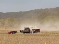 Moissonneuse-batteuse agricole XR720 sur chenilles avant et arrière pour une récolte efficace du blé, du riz et du maïs