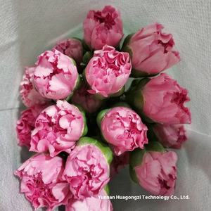 Carnation Kunming Fleurs faites à la main 20 bâtons/cravate Oeillets simples frais coupés pour la fête des mères Saint Valentin Graduation - Product Image 2