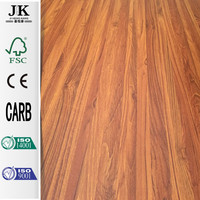 Porte battante de salle de bain JHK-MD-130 en MDF, design moderne, économique, avec âme alvéolée moulée, laquée, étanche