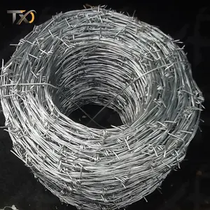 Factory directFactory Sale Various Cheap Protection 500m 200m 150m 100m Double-strand Hot DIP Razor Galvanized Welded