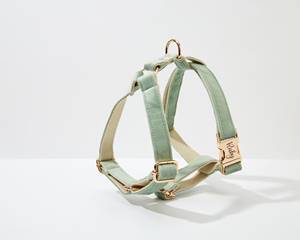 Verde Salvia personalizado con herrajes dorados, collar de perro de arnés Veet elegante y juego de correa para cachorros grandes, envío gratis - Product Image 2