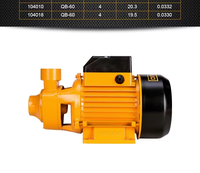 Pompe à eau propre DingQi 370W 0.5HP 104001A 220V 50Hz avec port 1"*1" et hauteur de refoulement max. 26,713m pour l'irrigation domestique et le jardin