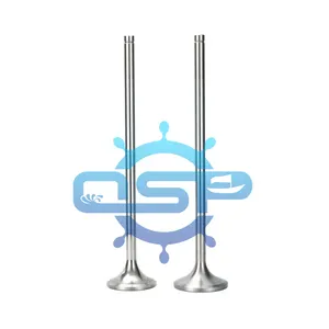 manufacturers PIELSTICK PC2-5 PC2-6 ship boat Diesel Engine parts Intake Exhaust Valve spindle for marine engine