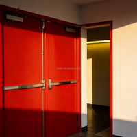 Portes en acier ignifugées au design moderne, équipées de joints coupe-feu qui s'expansent à la chaleur pour bloquer la fumée dense, idéales pour les écoles et les hôtels