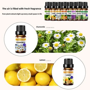 Single Aromatherapy 10ml Essential <b>Oil</b> Set <b>Diffusion</b> Stone Pure Plant-based Fresh Fruity Air Refreshing Deodorization Lasting - Product Image 5