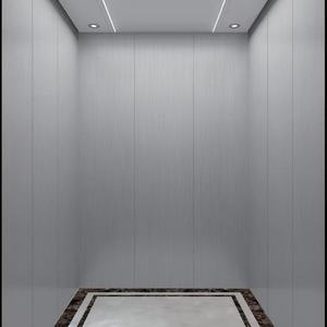 Ascensor Eléctrico Moderno para Viviendas y Villas, para 4-6 Personas, Capacidad de 450 kg, Accionamiento por Corriente Alterna, 5 Pisos, Diseño sin Engranajes, Acero de Alta Resistencia - Product Image 1