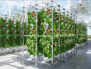 Grand ensemble complet de tour hydroponique verticale aéroponique avec matériau ABS et 6 à 15 niveaux pour la culture de légumes-feuilles - Product Image 2