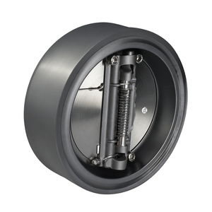 Válvula de Retención de Disco Inclinable de Acero Inoxidable 316, Tipo Brida, DN150, 6 Pulgadas, PN16, Envío Rápido COVNA - Product Image 3