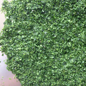 <span class=keywords><strong>Algues</strong></span> marines séchées de haute qualité, <span class=keywords><strong>algues</strong></span> marines déshydratées pures, <span class=keywords><strong>chips</strong></span> d'<span class=keywords><strong>algues</strong></span> vertes Ulva Nori - Product Image 5