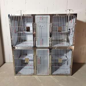 Jaula para Gatos Silenciosa de Doble Capa Compuesta: Calidad Comercial, Estética para el Hogar, Puerta de Acrílico de Bajo Mantenimiento - Product Image 4