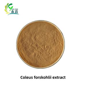 Ekstrak Herbal Alami Coleus Forskohlii Bubuk <span class=keywords><strong>10%</strong></span> <span class=keywords><strong>Forskolin</strong></span> 25kg Drum, Kualitas Makanan, Harga Terbaik, Pasokan Pabrik - Product Image 3