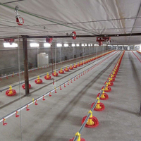 Système d'alimentation automatique pour poulailler, système d'alimentation linéaire pour poulets de chair et poules pondeuses, plancher de ferme avicole