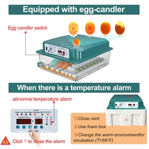 Máy ấp trứng gà mini mới nhất hoàn toàn tự động 36-Máy ấp trứng khay con lăn cung cấp năng lượng kép tỷ lệ nở 98% dễ dàng - Product Image 3