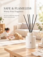 Diffuseur de parfum d'ambiance en céramique 100 ml avec bâtonnets en fibre à parfum longue durée pour chambre, salon, cadeau
