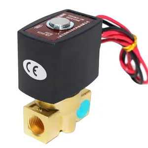 Elektrikli ZCM kapatma 2 yollu 1/2 - 1 inç diyafram 110V 220V 12V 24V kömür gaz pirinç alaşım solenoit valf