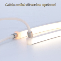 Bande lumineuse LED en silicone étanche, sans points lumineux, à éclairage uniforme, avec embout de câble, pour cuisine, armoire, vitrine, éclairage linéaire