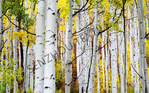 Động Vật Hoang Dã Mô Hình Báo hình nền với đôi mắt màu xanh và phát hiện lông lột và dính hiện đại trang trí nội thất nhà tường - Product Image 2