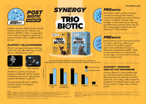 Suplemento Nutricional para Mascotas OEM, Probiótico, Prebiótico, Postbiótico en Polvo, para Perros, Gatos, Aves, Peces, Ganado, Salud de la Piel y el Pelaje - Product Image 4
