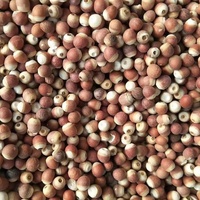 Vente en gros chinoise de sperme séché Euryales naturel cru sain à base de plantes qian shi naturel Gorgone euryale graine