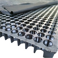 Module de drainage en plastique haute capacité de charge 50x50, plaque de drainage pour projets d'ingénierie municipale, isolation thermique de toiture, tapis de pelouse