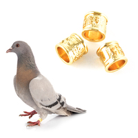 Bagues pour oiseaux en métal cuivre doré, pour colombes et pigeons, avec numéro de colis