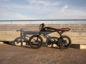 Date Vente Chaude Allemand RTS Rayvolt Vintage E-Bike Ringo Vélo Électrique 20 Pouces Argent E-Cycle - Product Image 2