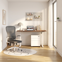 Bureau électrique réglable en hauteur à moteur unique, bureau assis-debout ergonomique motorisé, poste de travail informatique de bureau