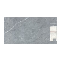 Carreaux pleine masse antibactériens modernes 400x800 du Guangdong pour villas, restaurants, cuisines et salles de bain – Gris, entièrement en porcelaine