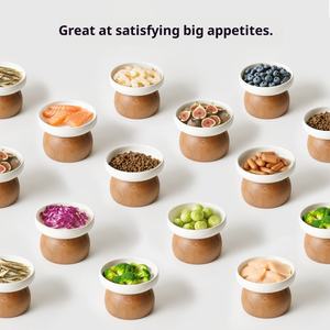 Tigela Moderna para Animais de Estimação em Cerâmica, Porcelana e Plástico Não Tóxico, Impermeável, para Cães e Gatos, com Efeito Craquelado, para Ração Úmida, 2 em 1 Portátil - Product Image 4