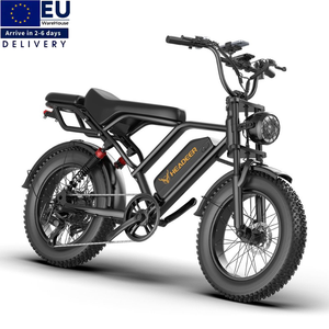 Bicicleta Eléctrica Fatbike V20 Pro en Stock en la UE, Suspensión Completa, Neumáticos Gruesos de 20 Pulgadas, Motor de 750W, Bicicleta Eléctrica de Montaña BK20 - Product Image 1