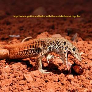 Lampe UV pour reptiles à longue durée de vie, lampe chauffante à vapeur <span class=keywords><strong>UVB</strong></span> pour reptiles, amphibiens, E27, lampe fluorescente chauffante <span class=keywords><strong>UVB</strong></span> pour tortues - Product Image 3