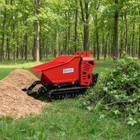 KNDMAX Neuer Benzinbetriebener Raupenlader Mini-Dumper mit Selbstentladung, Changyuan-Pumpe, 2 Tonnen, 0,25 m³, 6,6 kW, 1 Jahr Garantie