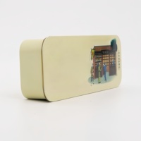 Boîte en fer blanc coulissante, type tiroir, mini boîte de rangement push-pull pour bonbons, médicaments, pastilles et petits objets