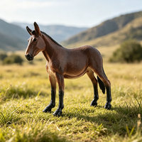 Modèle de cheval sauvage réaliste en PVC, modèle Akhal-Teke, cheval de petite taille, Konik Przewalski, à assembler