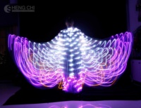 Sweat-shirt à capuche LED à fibres optiques avec ailes de papillon, haut décontracté lumineux et tendance, idéal pour les soirées en boîte de nuit