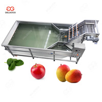 Industriële Vruchten Schoonmaken Verwerking Bosbes Aardbei Ananas Wasmachine Fruit Wasmachine Prijs