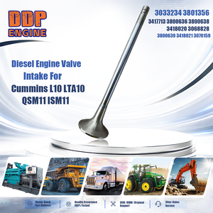 Soupape d'admission de moteur diesel pour machines de construction 3033234 3801356 3417713 3800636 3800638 pour Cummins L10 LTA10 QSM11 ISM11 - Product Image 2