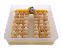 Incubateur automatique à double alimentation pour l'éclosion des œufs de poulet, de canard et de caille, certifié, fabriqué en Chine, à vendre