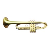 Seasound Professional JYTR409HS BB Tone Trumpet OEM Imitation Vintage Trompetta with Gold Lacquer Brass Body