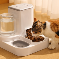 Bouteille et bols d'eau à alimentation lente en acier inoxydable durable pour animaux de compagnie de plus grande capacité faciles à nettoyer pour chiens et chats