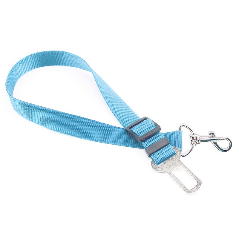 Bleu clair