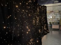 Rideau lumineux à fibres optiques LED, décoration commerciale pour hall d'entrée, scène de mariage, fond de scène