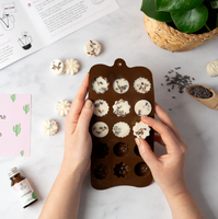 Kit de démarrage pour cire fondante PLANT FUN pour la création artisanale à domicile avec moules carrés et huiles parfumées