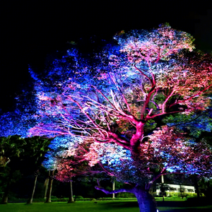 ไฟโปรเจคเตอร์ LED RGB ปรับสีได้ พร้อมลำแสงปรับได้ สำหรับแสงสว่างทางสถาปัตยกรรม - Product Image 1