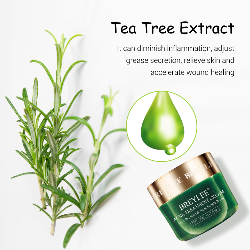 BREYLEE thé arbre visage anti-acné et enlèvement des taches noires l'épiderme crème pour l'acné